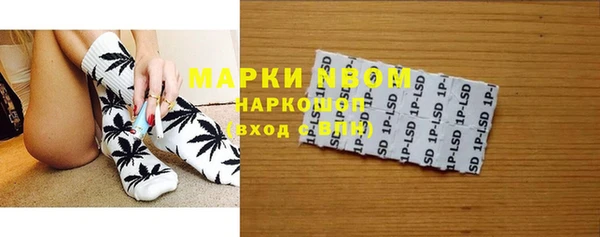 СК Медвежьегорск