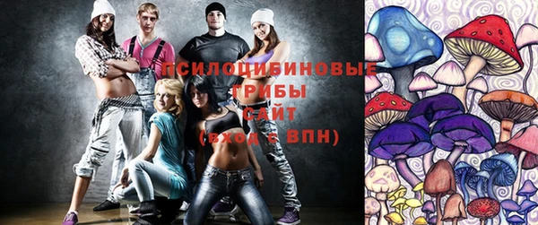 амф Мегион