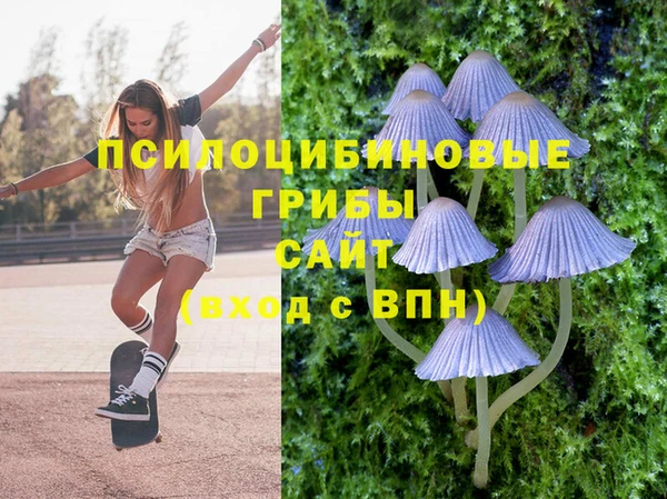 СК Медвежьегорск