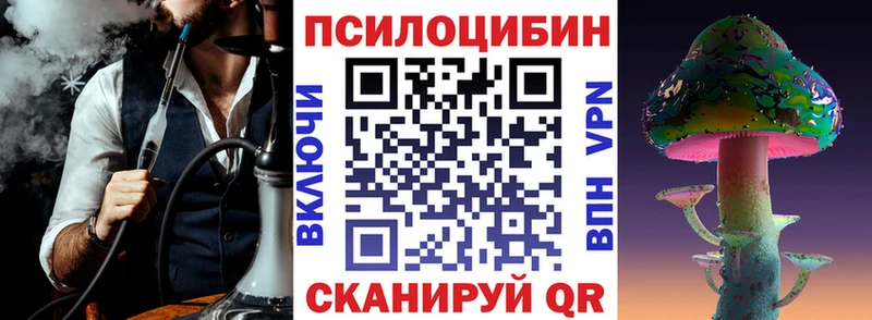 Купить где  Балей  Псилоцибиновые грибы Psilocybe 